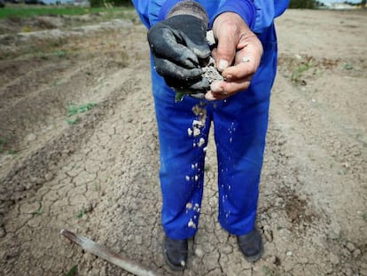 Uun agricultor cerca del pantano de La Pedrera (Orihuela) desgrana un terr&oacute;n de su campo.