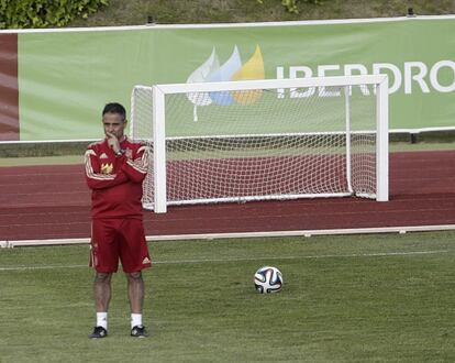 Javier Mi&ntilde;ano, preparador f&iacute;sico de la selecci&oacute;n.