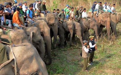 Un veterinario y su equipo técnico se preparan para buscar al rinoceronte en el Parque Nacional de Chitwan, en Katmandú.