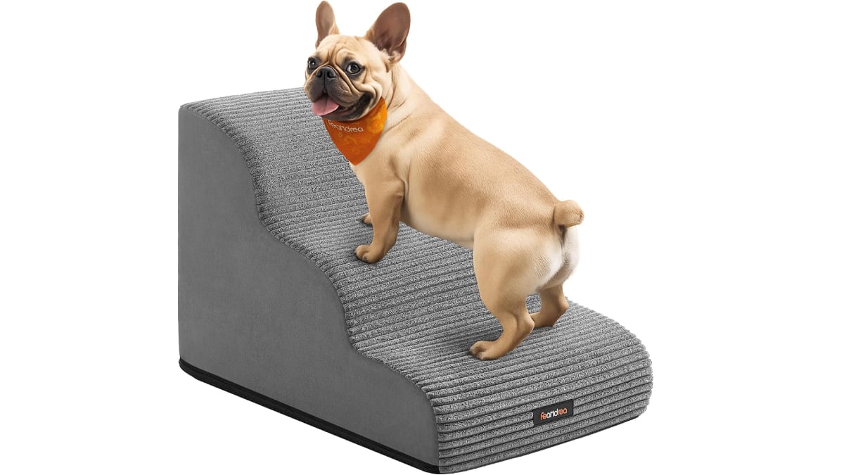 Escalera antideslizante de espuma para mascotas.