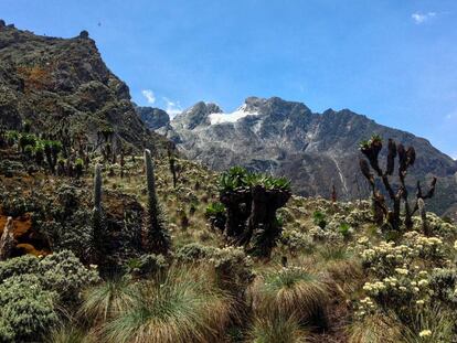 Pico Stanley, la cima de la cordillera Ruwenzori, en África