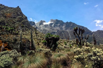 Pico Stanley, la cima de la cordillera Ruwenzori, en África