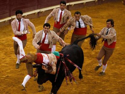 Un grupo de forcados durante una corrida celebrada en Lisboa.