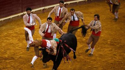 Un grupo de forcados durante una corrida celebrada en Lisboa.