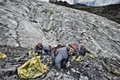 El pallaqueo solo lo realizan mujeres. Con un martillo en las manos golpean los restos de rocas que salen de la mina, y que ya nadie quiere, en busca de algo de oro.