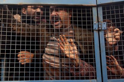 Activistas de Cachemira gritan dentro de un vehículo de la policía tras ser detenidos durante una manifestación para conmemorar el Día Internacional de los Derechos Humanos en Srinagar (India).
