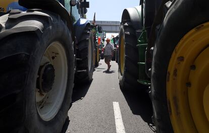 Un hombre entre los tractores que se han manifestado hoy en las calles de Madrid. 