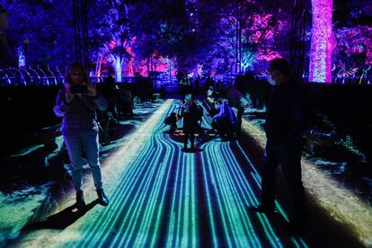 Una de las 16 instalaciones lumínicas de ‘Naturaleza Encendida’, en el Real Jardín Botánico.