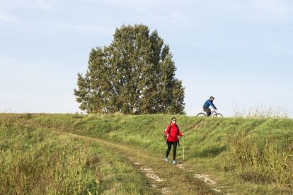 Tramo de la Vía Francígena cerca de la localidad de Orio, en la región itaiana de Lombardía.