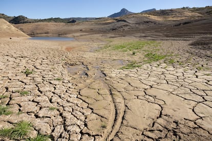 Sequía Doñana