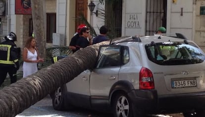 Una imagen del coche aplastado por la caída de la palmera