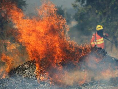 Bombeiro tenta extinguir as chamas durante incêndio que começou durante a estação de seca em Brasília.