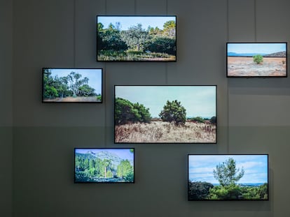 Detalle de la exposición 'La sombra del dominguero', de Art Larson, en La Virreina, Barcelona.