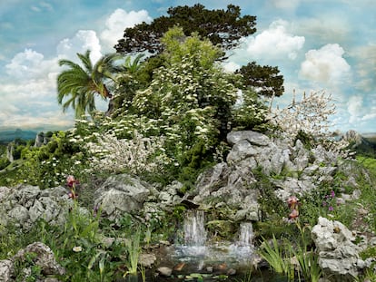 ‘Parque Natural 10’ de José Ramón Ais.
