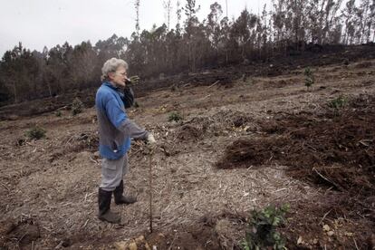 Una mujer contempla apenada una zona arrasada por el devastador incendio forestal que comenzó el pasado sábado en el parque natural de As Fragas do Eume