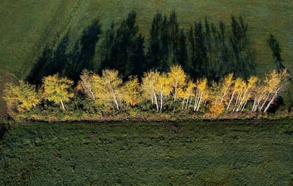 Vista aérea tomada por un dron que muestra los campos otoñales en Berkow (Polonia).