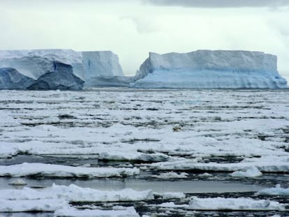Fragmentos de la plataforma Wilkins de la Antártida, que se resquebró en 2009 por el deshielo.