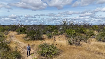 Manuel Evangelista en la comunidad de Malhada da Areia, lugar que busca combatir la desertificación en Brasil.