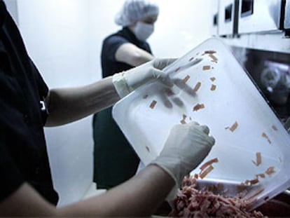 Dos empleadas de un restaurante utilizan guantes de látex para manipular los alimentos.