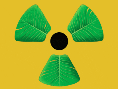 ¿Es la energía nuclear verde y natural?