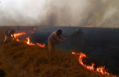 Varias personas trabajaban para extinguir el fuego que seguía consumiendo árboles y pastos en San Luis del Palmar, provincia de Corrientes, Argentina.
