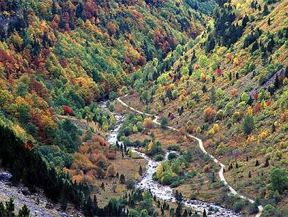 Los árboles caducifolios envuelven con sus colores otoñales el río Arazas, en el valle de Ordesa, donde transcurre el sendero que lleva al refugio de Goriz.