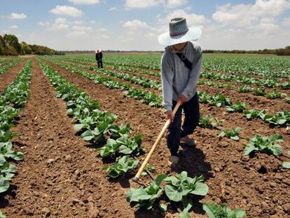 Los porqués de la falta de financiación para proyectos de agricultura