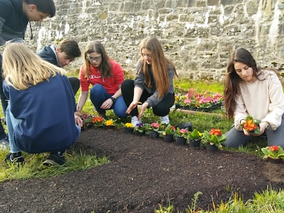Los alumnos de 2º de la ESO del colegio Sagrado Corazón, en Pamplona, participan en el diseño y plantación de unos jardines.