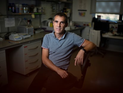 El científico madrileño Alvaro Somoza en su laboratorio dentro de IMDEA Nanociencia, en el norte de Madrid.