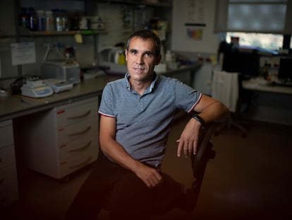 El científico madrileño Alvaro Somoza en su laboratorio dentro de IMDEA Nanociencia, en el norte de Madrid.