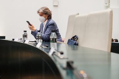 La concejala del Grupo Mixto, Marta Higueras, este miércoles.