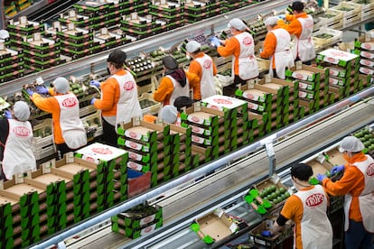 Trabajadores en las instalaciones de Trops situadas en la comarca de la Axarquía.