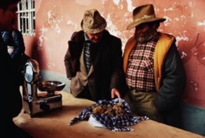 Mercado de trufas blancas en Alba, en la región italiana del Bajo Piamonte.