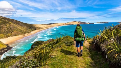 El cabo Maria van Diemen, en Northland (Nueva Zelanda).