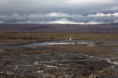 La región de San Pedro de Atacama (Chile), con sus volcanes, sus lagos secos salados y su naturaleza, es uno de los lugares más asombrosos de Sudamérica.    