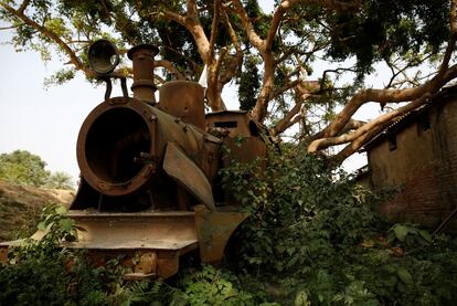 Plants grow on the abandoned train at the workshop of Nepal Railways Corporation Ltd., in Janakpur, Nepal, June 4, 2017. REUTERS/Navesh Chitrakar  SEARCH "CHITRAKAR RAILWAY" FOR THIS STORY. SEARCH "WIDER IMAGE" FOR ALL STORIES. TPX IMAGES OF THE DAY.