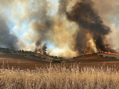 Columna de humo del incendio de cereal y pasto originado en Valdepiélagos, el sábado 1 de agosto.