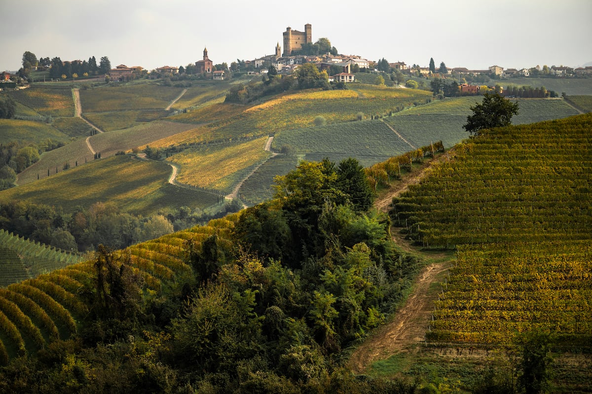 Los vinos del Piamonte, ¿tras los pasos de Borgoña?