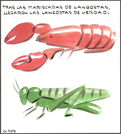 El Roto: langostas 