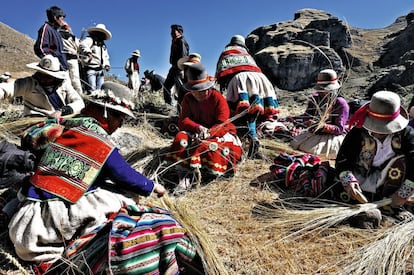 Durante tres jornadas, los campesinos quechuas de la provincia de Canas recolectan y fabrican a mano las cuerdas del puente con fibras vegetales de la zona (en la foto, un grupo de mujeres cosechando paja), y después los hombres reconstruyen el puente suspendido sobre un cañón natural.