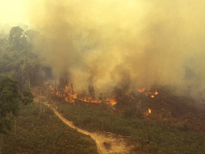 Vista de un incendio en el Amazonas.