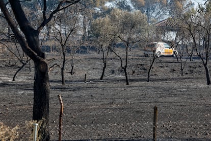 Una vehículo de emergencias que trabaja en la extinción de un incendio forestal declarado en la localidad madrileña de Loeches.