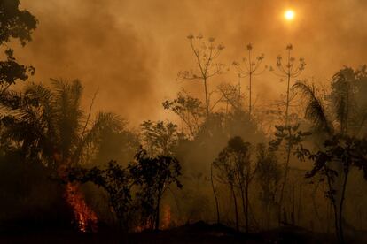 Os dados são do Instituto Nacional de Investigação Espacial (INPE), que também aponta que mais de 80% do território devorado pelas chamas está na Amazônia. Em Bujari, no Acre, diversos focos de incêndio podem ser observados.