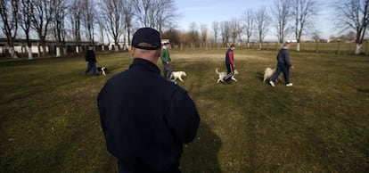 Un policía controla a los prisioneros durante su paseo con perros.