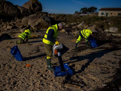 Operarios de Tragsa, contratados por la Xunta de Galicia, limpiaban el arenal de A Lanzada (Sanxenxo), este jueves.