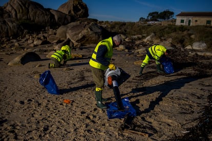 Operarios de Tragsa, contratados por la Xunta de Galicia, limpiaban el arenal de A Lanzada (Sanxenxo), este jueves.