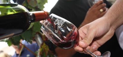 Cata en un viñedo de Rioja Alavesa.