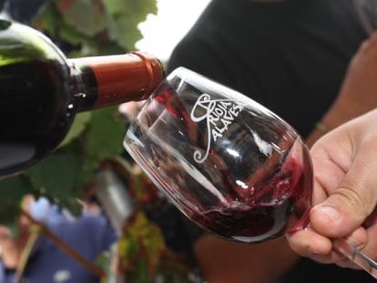 Cata en un vi&ntilde;edo de Rioja Alavesa.