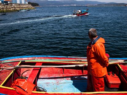 Mariscadores de la cofradia de pescadores de A Illa de Arousa, durante una jornada de trabajo en sus pequeñas embarcaciones, con las que marisquean próximos a la costa.