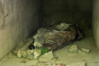 Restos humanos dentro de una de las tumbas profanadas en el cementerio de Armero.